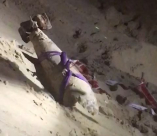  فيديو: العثور على قذيفة صاروخية ضخمة في اسدود يعود تاريخها للحرب العالمية الثانية